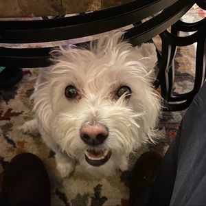 Meet your Posher, Robert